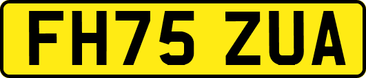 FH75ZUA