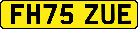 FH75ZUE