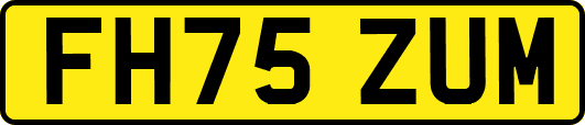 FH75ZUM