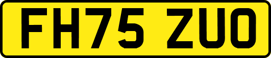 FH75ZUO