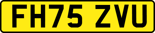 FH75ZVU