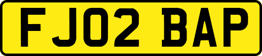 FJ02BAP