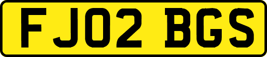 FJ02BGS