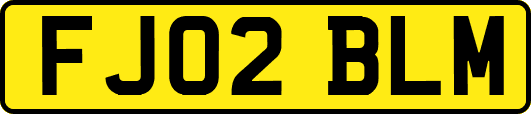 FJ02BLM