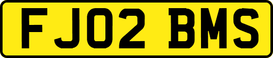 FJ02BMS
