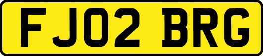 FJ02BRG