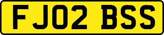 FJ02BSS