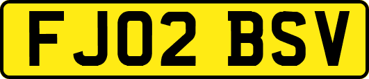 FJ02BSV
