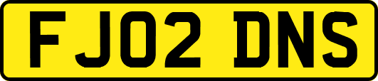 FJ02DNS
