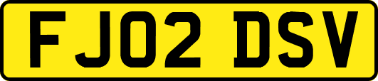 FJ02DSV