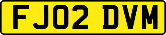 FJ02DVM
