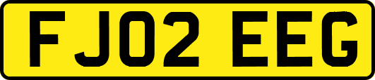 FJ02EEG