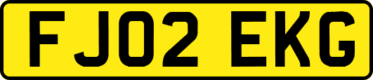 FJ02EKG