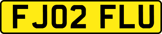 FJ02FLU