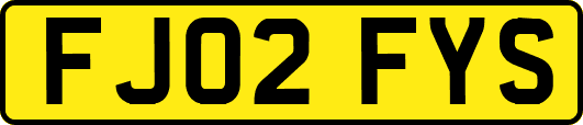 FJ02FYS
