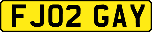 FJ02GAY