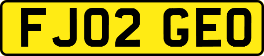 FJ02GEO