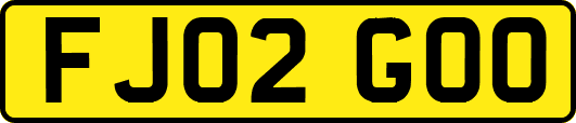 FJ02GOO