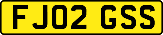 FJ02GSS