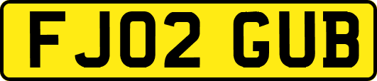 FJ02GUB