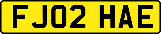 FJ02HAE