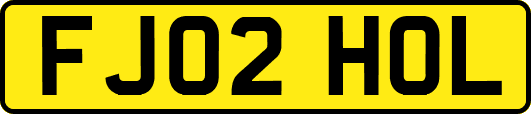 FJ02HOL