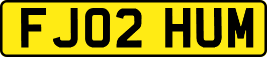 FJ02HUM