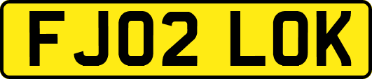 FJ02LOK