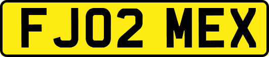 FJ02MEX