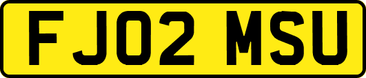 FJ02MSU