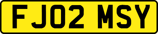FJ02MSY
