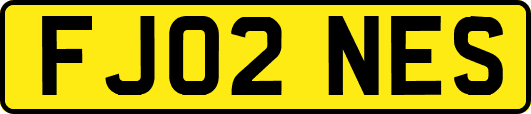 FJ02NES