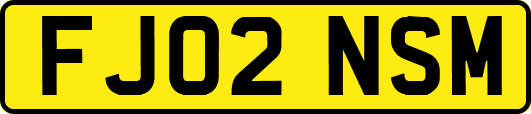 FJ02NSM