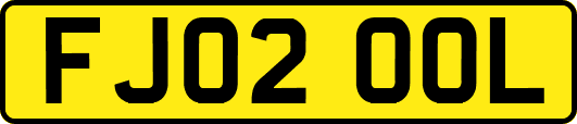 FJ02OOL