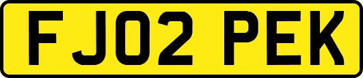 FJ02PEK