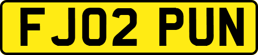 FJ02PUN