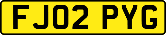 FJ02PYG