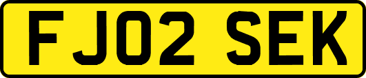 FJ02SEK