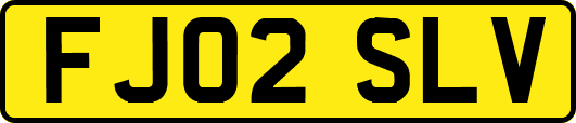 FJ02SLV