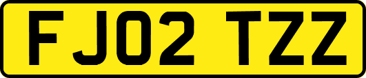 FJ02TZZ