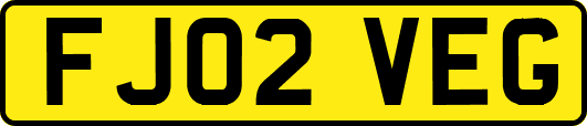 FJ02VEG