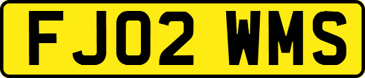 FJ02WMS