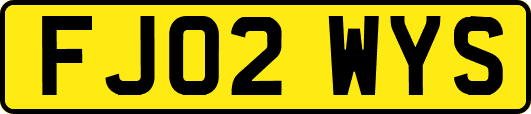 FJ02WYS