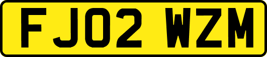 FJ02WZM