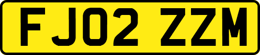 FJ02ZZM