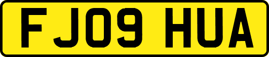 FJ09HUA