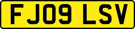 FJ09LSV