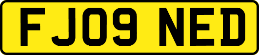 FJ09NED