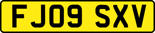 FJ09SXV