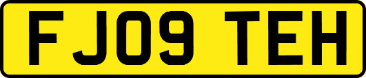 FJ09TEH